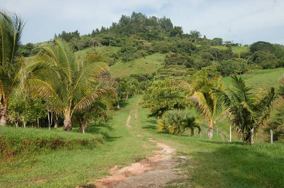 DuanesHouse/Driveway1.JPG